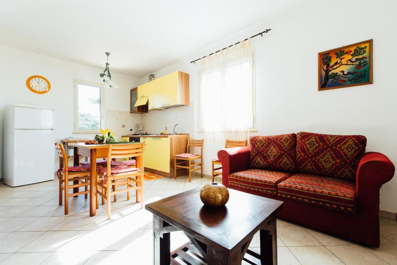 Agriturismo Il Querciolo Γκροσέτο Εξωτερικό φωτογραφία