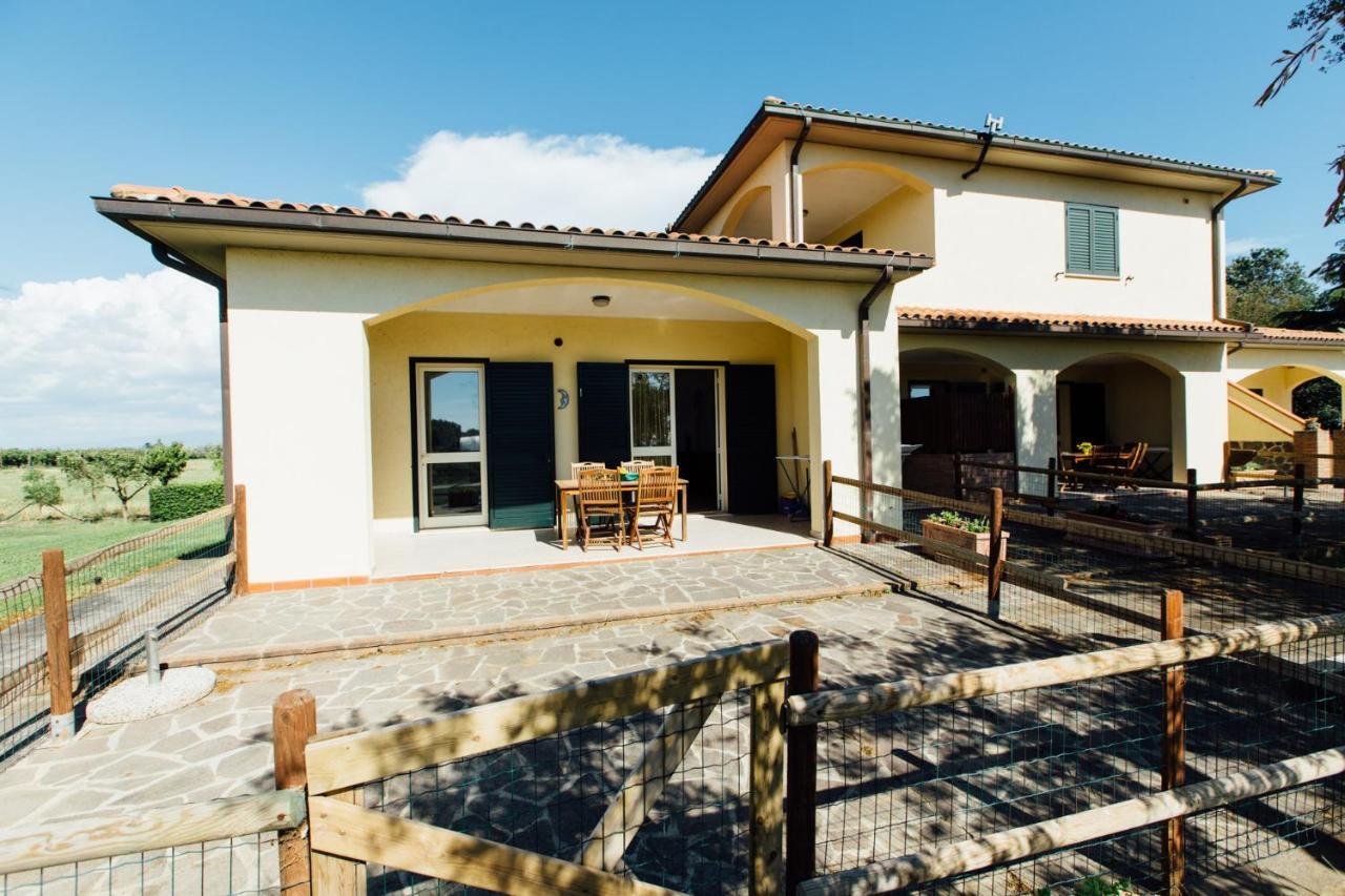 Agriturismo Il Querciolo Γκροσέτο Εξωτερικό φωτογραφία