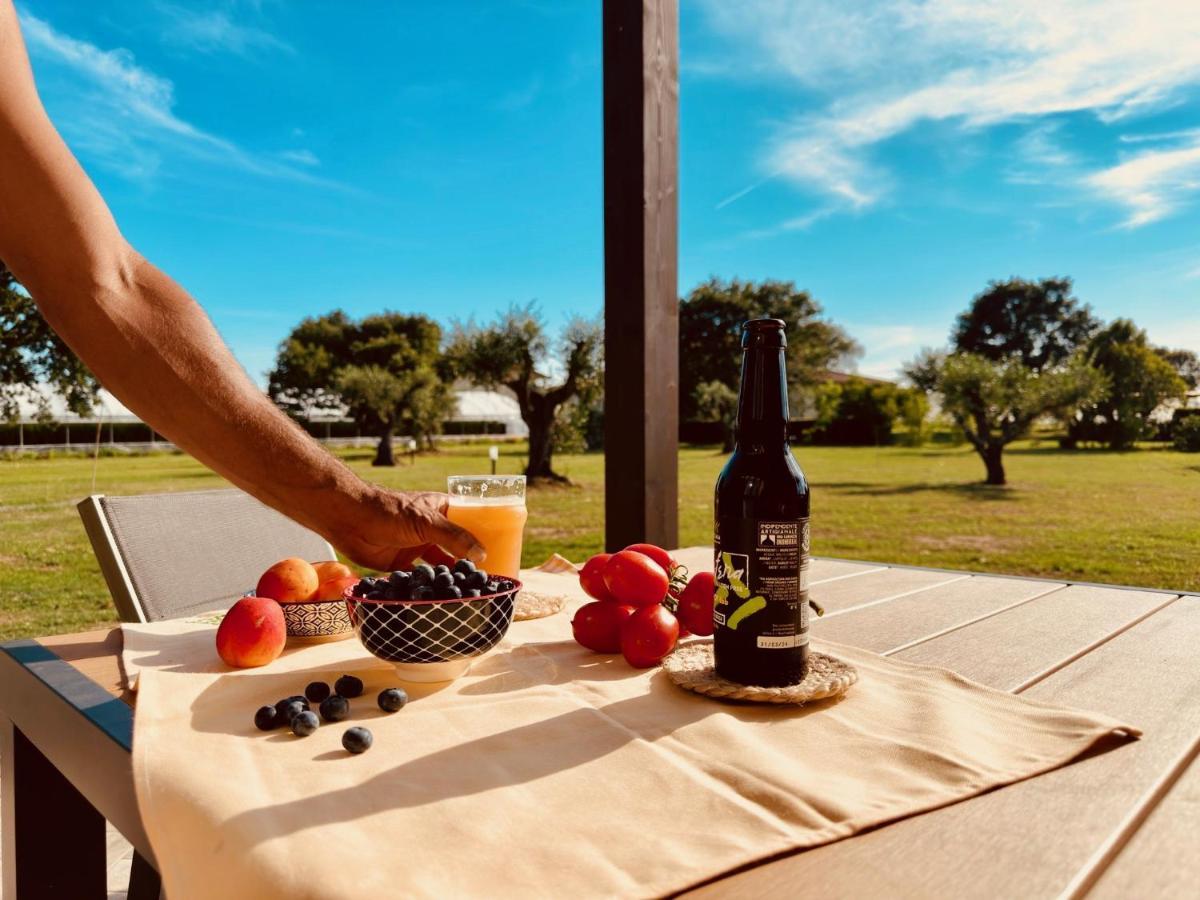 Agriturismo Il Querciolo Γκροσέτο Εξωτερικό φωτογραφία